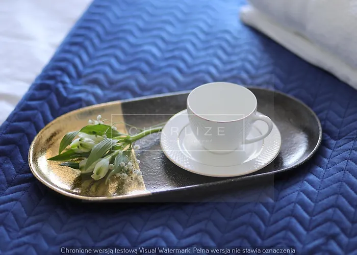 4 Stars, Luxury Butterfly & Bike Apartments, Orlowo, 15 Mieszkan, Z Oddzielna Sypialnia, Winda I Platnym Parkingiem, Blisko Drog Rowerowych, Niedaleko Molo, Golf, Stadnina, Adventure Park, Summerwinter Brand Апартаменты